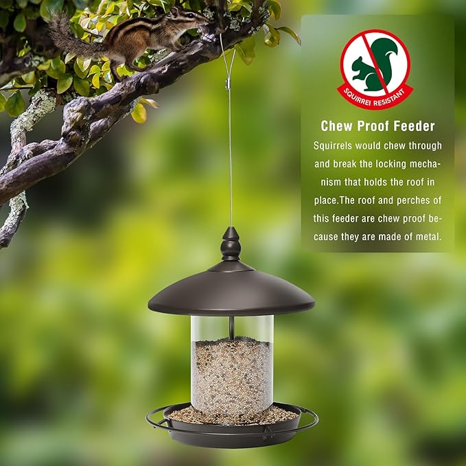 Pack of 2 Bird Feeder for Backyard Birds. Bronze