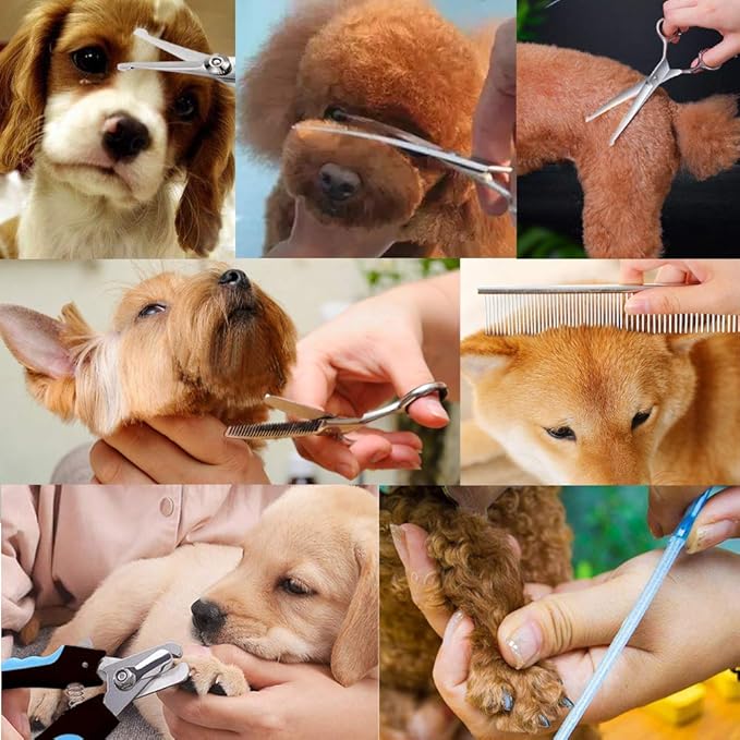 Dog Grooming Scissors Kit, Safety Round Tip, Heavy Duty Stainless Steel Dog Scissors and Dog Nail Clippers for Grooming Full Body