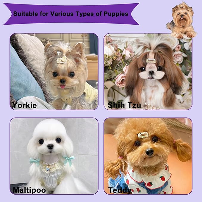 3 PCS Puppy Brush Grooming Kit, Stainless Steel Flea Comb, Fit for Yorkie, Shih Tzu, Maltipoo, Soft Bristle (Dark Purple)