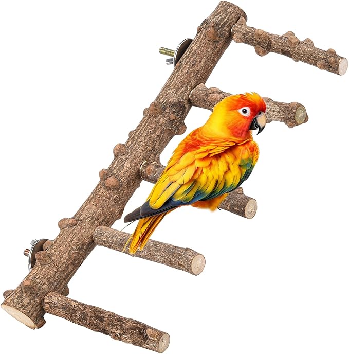 CozyCabin Natural Bird Ladder Stand, Hanging Multi Branch Grapevine Parrot Perch Bird Cage Toys for Small Budgies Conure Parakeets Cockatiels Lovebirds (Ladder)