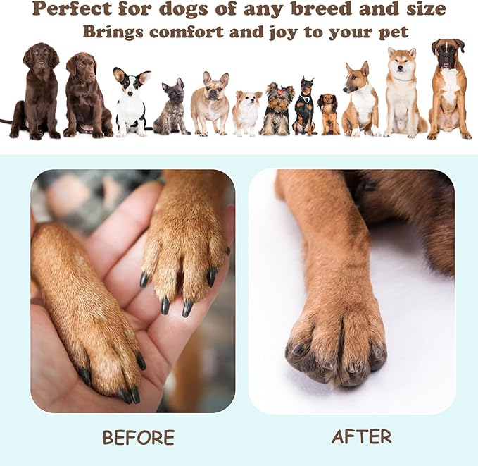 5pcs Dog Scratch Replacement Pad, Self-Adhesive Emery Paper Scratching Dog Pad, Replaceable Sticky Sandpaper Dogs Scratch Board,Refillable Discs & Board for Nail Care