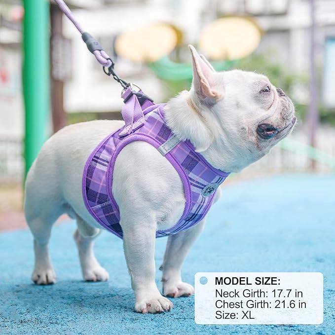 BEAUTYZOO Small Dog Harness and Leash Set, Step in No Chock No Pull Soft Mesh Dog Harnesses Reflective for Extra-Small/Small Medium Puppy Dogs and Cats, Plaid Dog Vest Harness for XS S Pets, Purple L