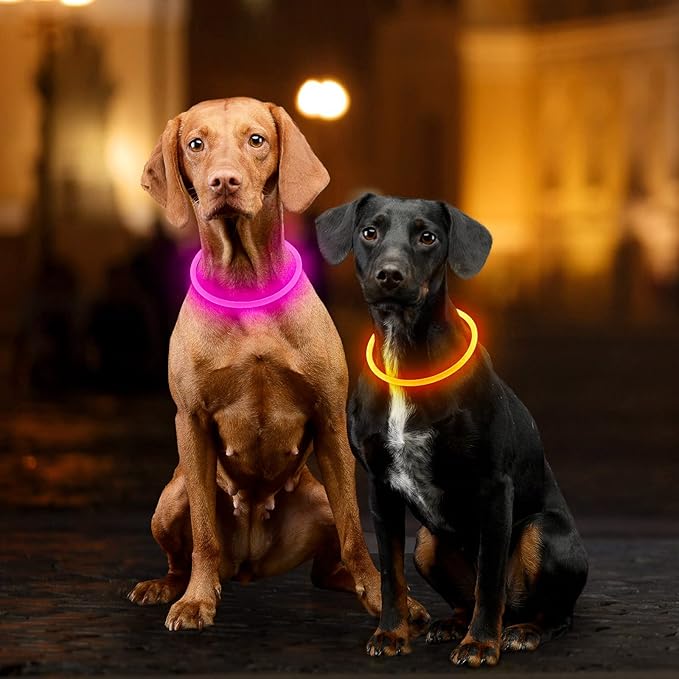 Light Up Dog Collars, Single-Color USB Rechargeable Dlitk LED Dog Collar 1 Count, TPU Cuttable Size Glow Collar for Dogs, Dog Collar Light, Please Do Not Use Fast Charging (Orange)