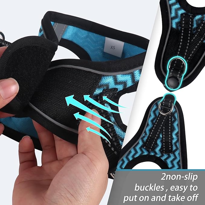 Dog Harness (XS, Blue) for Small Dogs, Lightweight Harness & Leash Set, Adjustable, Reflective, Breathable, 360°Visibility, Playful Style