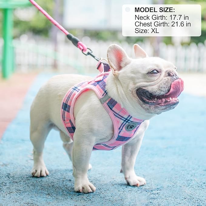 BEAUTYZOO Small Dog Harness and Leash Set,Step in No Chock No Pull Soft Mesh Dog Harnesses Reflective for Extra-Small/Small Medium Puppy Dogs and Cats, Plaid Dog Vest Harness for XS S Pets, Pink M