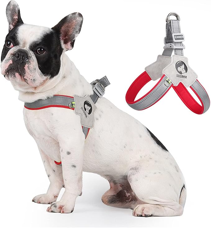 Dog Harness Y-Shaped Harness Breathable Heat Dissipation Easy to Wear Night Reflective Signs for Small and Large Dogs to Wear (Red,S Bust 13in-18in)