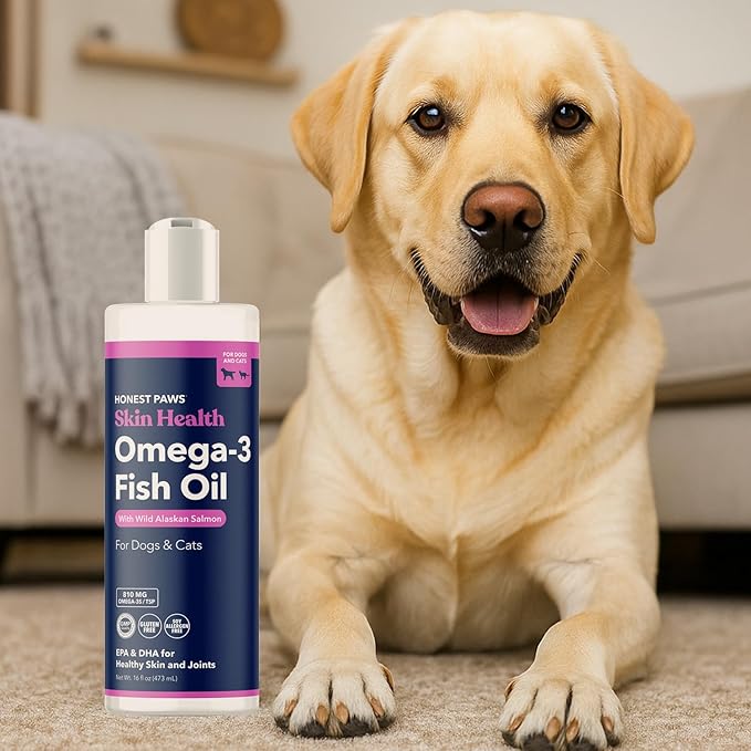 Honest Paws Wild Alaskan Salmon Oil for Dogs & Cats Omega 3 Fish Oil Supplement for Skin, Coat, Joint & Heart Health Natural, Sustainably Sourced, 8 oz