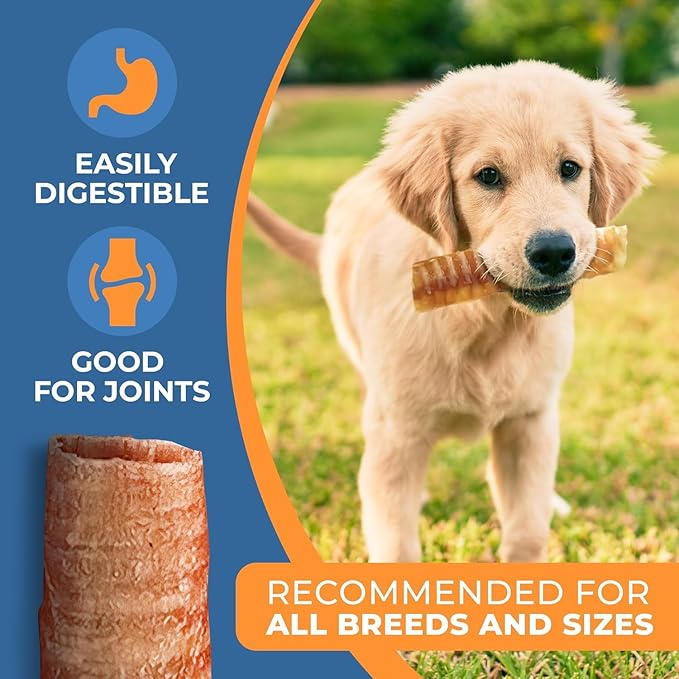 K9warehouse® - 6 Inch Beef Trachea Dog Chews - 25 Count Trachea Flats for Dogs - Packed in USA - Trachea Dog Treats - All Natural Grass-Fed Beef Dog Chews - Rich in Glucosamine Chondroitin