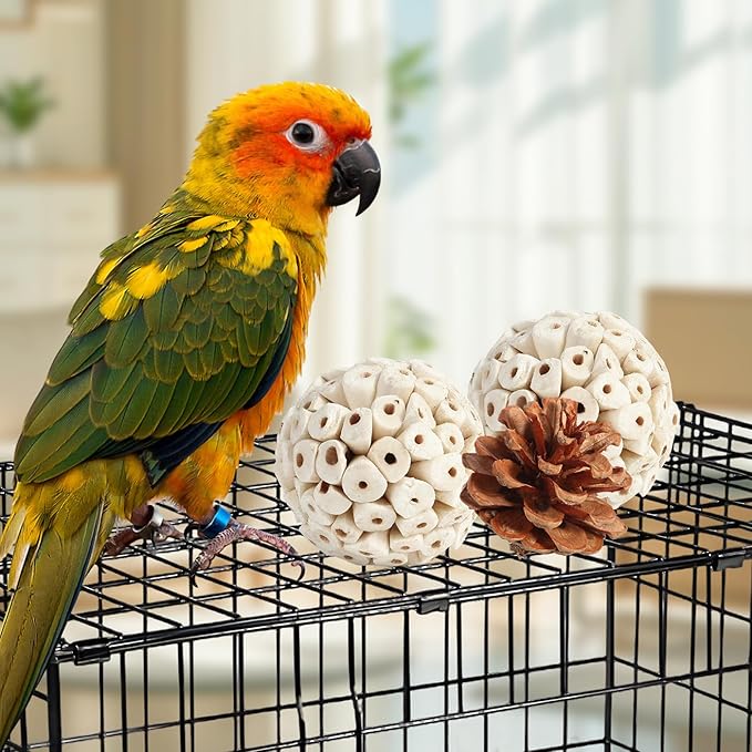 Kyouki Bird Toys Parrot Natural Bird Foraging Box Foot Toys for Parakeets,Cockatiels,Conures,Love Birds,and Other Small to Medium Birds (Large)