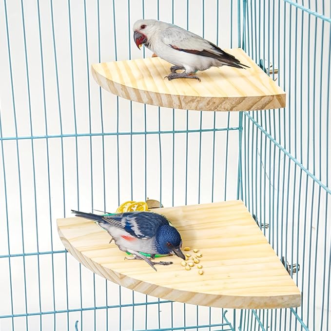 2 Pcs Bird Perch Platform 2 Sizes Wooden Parrot Perch Corner Sturdy Parrot Perchs 5.12 and 6.7 inch Fan Shape Flat Perches Stand Playground Cage Exercise Accessories for Gerbil Birds Hamster Parrots