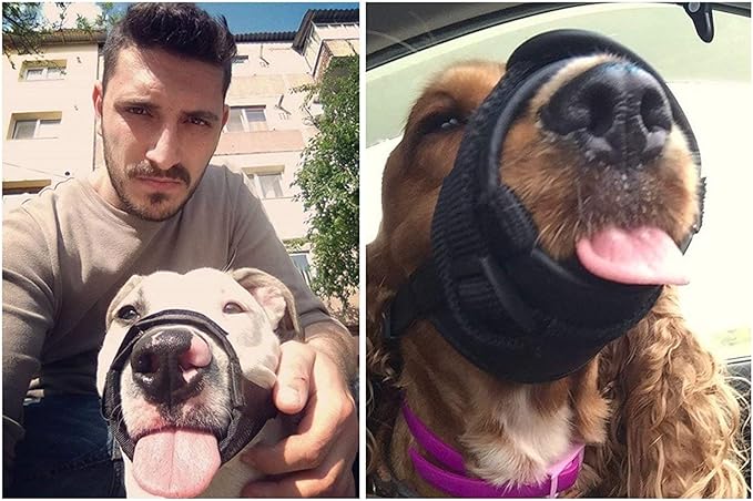 Dog Muzzle for Small, Medium, Large Dogs Prevent from Biting, Barking and Chewing, Adjustable Loop(S/Black)