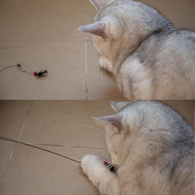 Insect Cat Toy Set with Bells for Cat Teaser, Ultra-Realistic Bug Toy Refills for Wand Toys, Interactive Toys Ideal for Kitten Enrichment Exercise & Mental Stimulation (5 PCS)