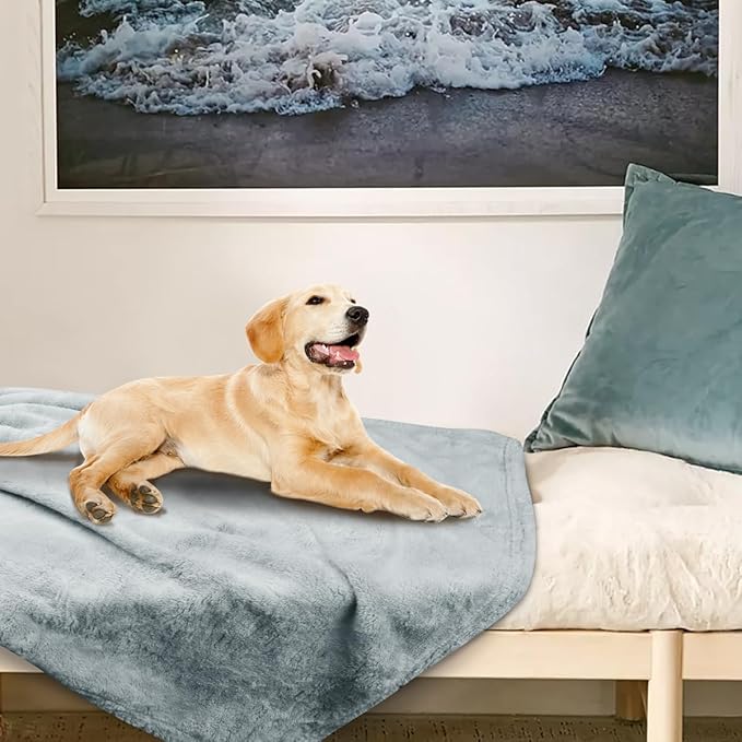 Onarway Dog Blanket Washable for Puppy: 4 Packs Dog Blankets 40”x28” - Fluffy Soft Small Throw for Cat Puppy Kitten Dogs - Fleece Pet Blankets for Bed Sofa Car and Indoor - Light Grey