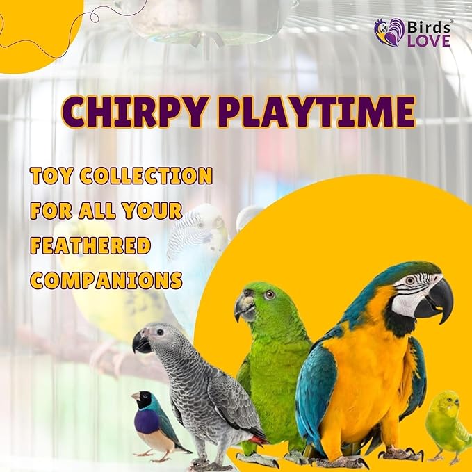 Birds LOVE Wood Stars & Leather Toy for Bird Cage Stand or Playgym, Bird Toys for Small to Medium Parrots, Sun Conures, Green Cheeked Conures, Quakers, Parakeets, Caiques, Cockatiels, African Senegals