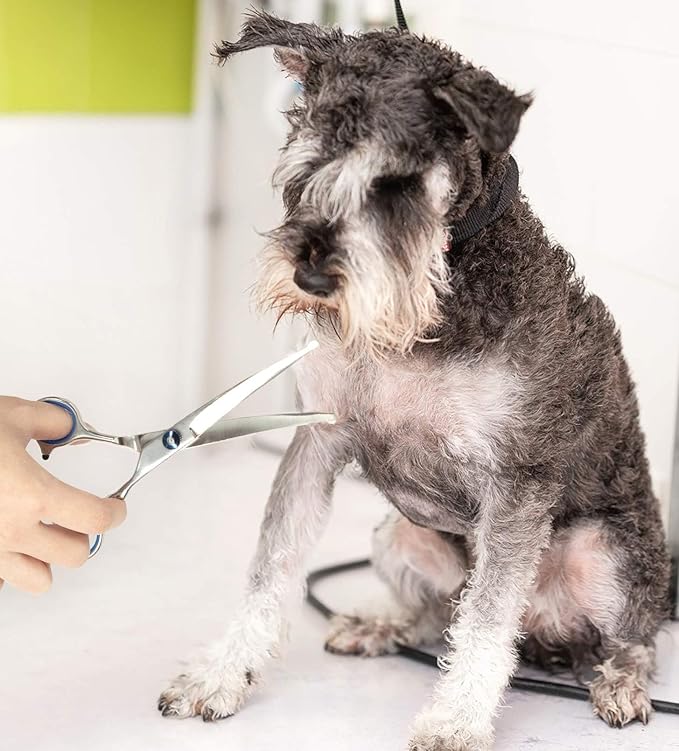 7.5" Curved Dog Grooming Scissors with Safety Round Tips, Light Weight Professional Pet Grooming Shears Stainless Steel for Dogs Cats Pets