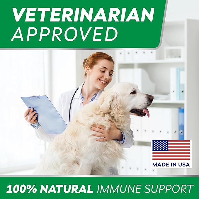 STRELLALAB Dog Allergy Relief & Anti Itch Support Chews w/Omega 3: Real Ingredients, Real Taste! Skin & Coat Immune Supplement w/Fish Oil, Pumpkin & Enzymes — BBQ Chicken - 180Ct