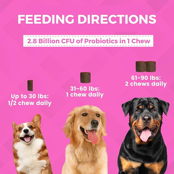 Nootie Progility Pre & Probiotic Supplement, Digestive Aid Supplement for Dogs, 90 Soft Chews per Container