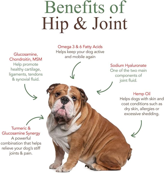 Veterinary Naturals Hip & Joint Supplement for Dogs - 60 Soft Dog Chews for Hip & Joint Support - Dog Vitamins and Supplements with Glucosamine for Dogs & MSM - Grain-Free, Roasted Chicken Flavor