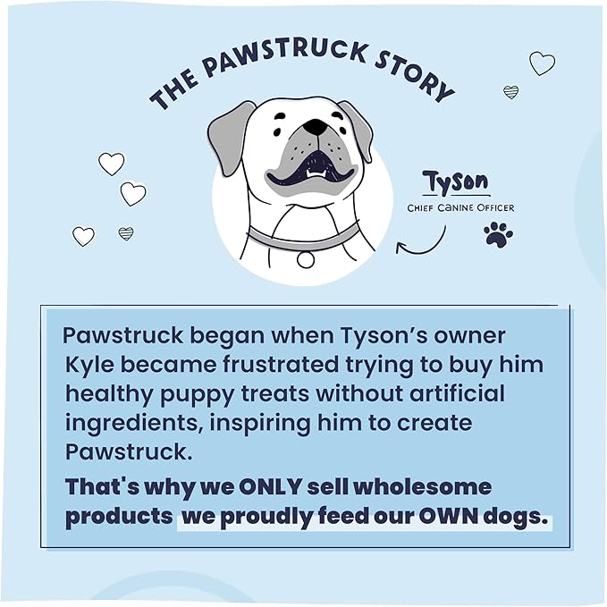 Pawstruck All-Natural 7" Bully Sticks for Dogs - Best Long Lasting, Rawhide Free, Low Odor & Grain Free Dental Chew Treat - Healthy Single Ingredient 100% Real Beef - 1 lb. Bag