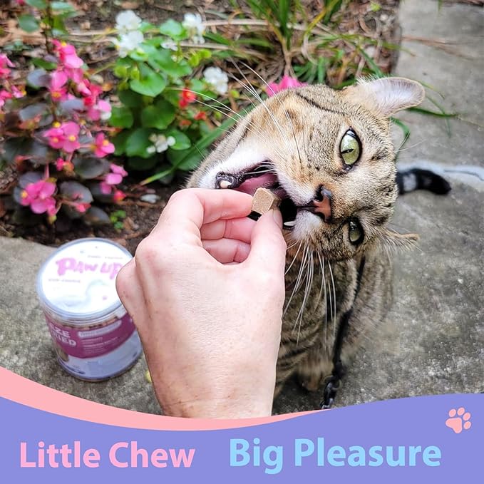 Freeze Dried Duck Liver Cat Treats, Dog Liver Treats, High Protein Snack for Dogs, Cats, Healthy Single Ingredient, Rawhide Free, Grain Free, 4.6 oz