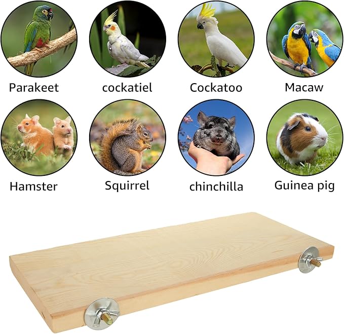 4 Pack Bird Perch Stand 12.4×5.3 Inch Parrot Wood Platform Rectangle Wood Perch Stand Board Shelf for Parrots Birds Budgie Parakeet Cockatiel Hamster Chinchilla Gerbil