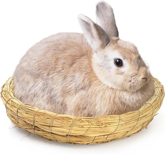 6 Packs Woven Straw Bird Nests, 8" Handmade Flat Base Spawning Nest, Small Animal Breeding Bed Hatch House Cage Accessories for Dove Pigeon Parrot Cuckoo Sparrow Rabbits Chinchillas Hamster