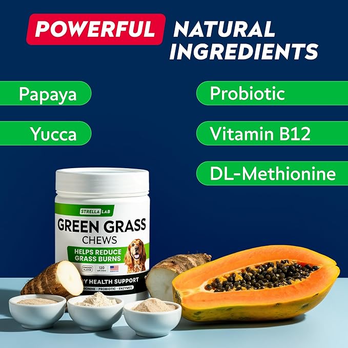 STRELLALAB Green Grass Dog Chews - Dog Pee Grass Helper - Supplement Urine Neutralizer for Grass Burn Spots - Grass Treatment for Pet Urine - Pee Lawn Repair Treats with Probiotics - Made in USA