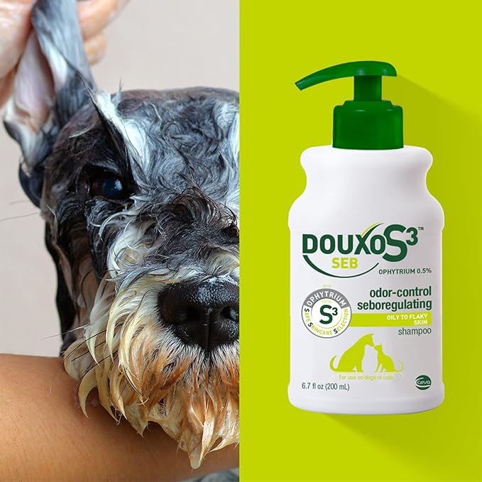 Douxo S3 SEB Shampoo, Contains 0.5% Ophytrium, Odor Control & Seboregulating, for Oily to Flaky Skin, Seborrhea, for Dogs and Cats, 6.7 fl. oz. (200mL)