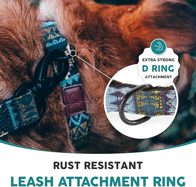 Embark Urban Dog Collar Dog Collar Stylish & Durable Nylon Dog Collar for Large Dogs, Small Dogs & Medium Dogs.Comfortable Pet Collar Strong Buckles for Any Size Breed (Azure, Medium)