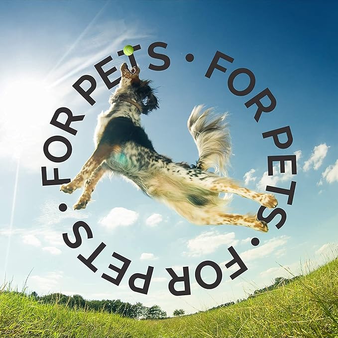 Bark2Basics Oatmeal Dog Shampoo, 16 oz - Natural Colloidal Oatmeal, Natural Ingredients, Calms Dry Itchy Irritated Skin, Moisturizes and Soothes the Skin and Coat, Professional Grade