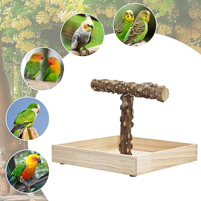 BNOSDM Portable Bird Perch Stand with Potty Tray, Natural Wood Tabletop Training Gym Parrot Playground Toy for Budgies, Cockatiels, Lovebirds,Conures