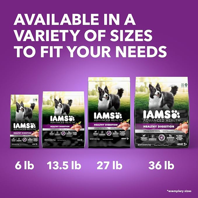 IAMS Advanced Health Healthy Digestion Adult Dry Dog Food with Real Chicken, 27 lb. Bag