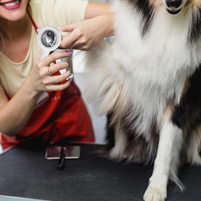 WishLotus Pet Nail Clippers, Anti-Slip and Splash Dogs Nail Clipper with Clear Baffle and Hide Nail File Cat Claw Clippers Grooming Tool Accessories for Small Animals Nail Trimming (Blue)