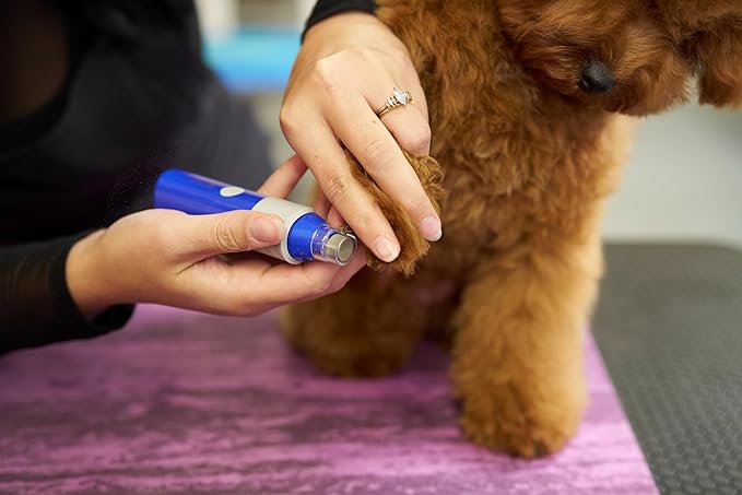 Wahl Professional Animal - Flexion Cat and Dog Nail Grinder - Professional 2-Speed Rechargeable Electric Pet Nail Trimmer - Paw Grooming & Smoothing for Dogs & Cats (#3023207)
