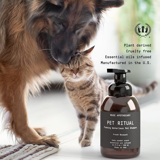 Muse Apothecary Pet Ritual Foaming Waterless Dog Shampoo - No Rinse Dry Shampoo for Dogs & Cats - Essential Oils Infused, 11.5oz, Oatmeal + Mango