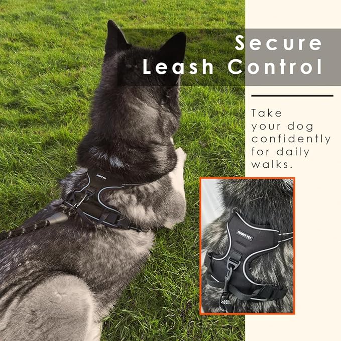 Dog Harness and Leash Duo, No Pull Vest Harness with 5 Ft Leash, Soft padded Vest, No-Choke Oxford Pet Harness, Easy Control Handle and Adjustable Pet Harness (Rose Red, Medium)