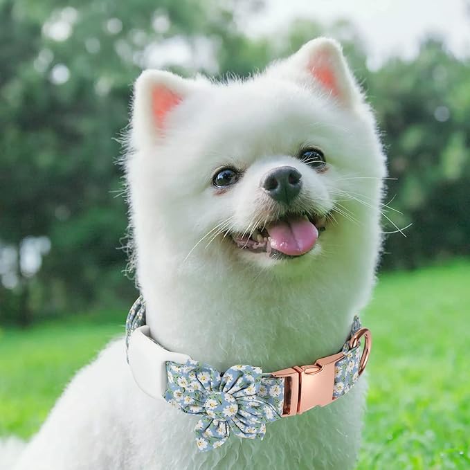 Airtag Dog Collar Holderï¼_nti-Lost Silicone Case Accessories for Air Tag GPS Trackingï¼_ompatible with Dogs Cats Pets Collar (1 Pack, White)