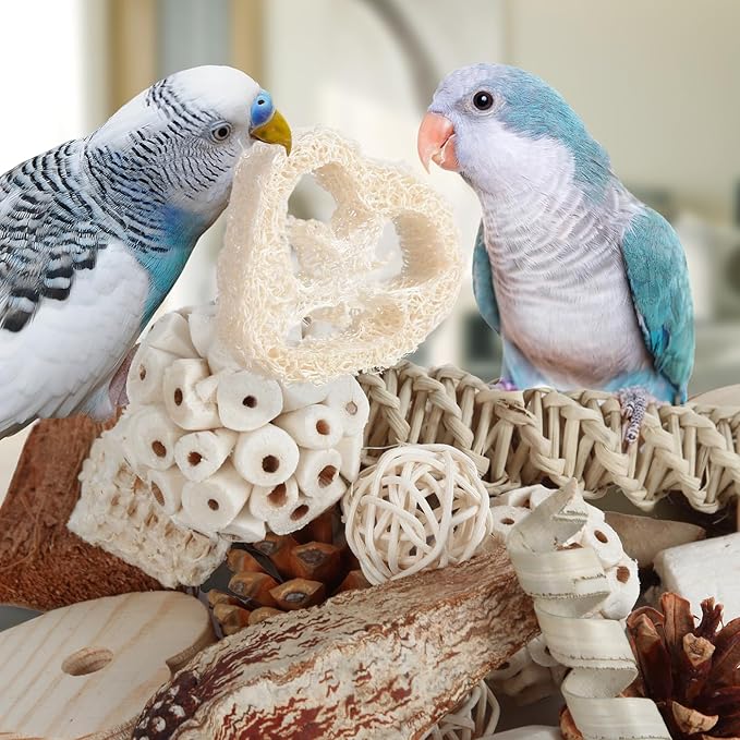 Kyouki Bird Toys Parrot Toys Natural Bird Foraging Box Foot for Parakeets,Cockatiels,Conures,Love Birds,and Other Small to Medium Birds (Medium)