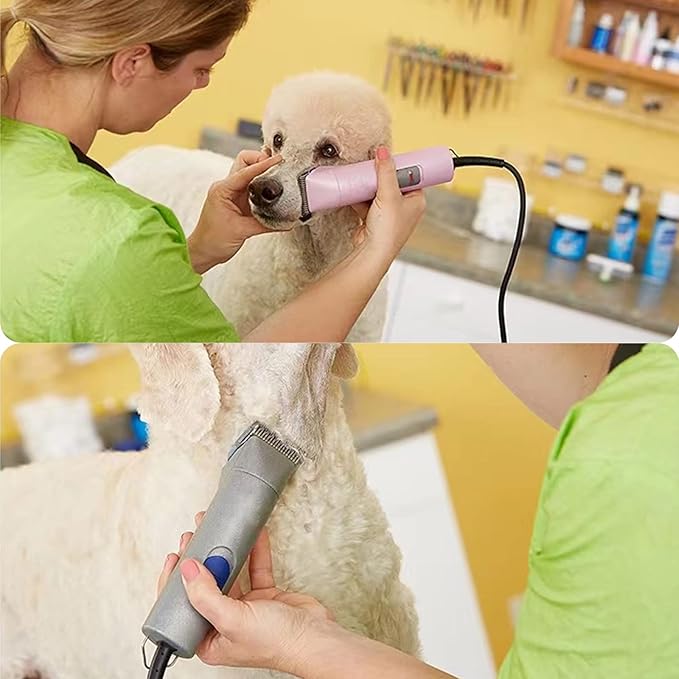 3 Packs #30 Clipper Blade Dog Grooming Compatible with Andis Clippers Detachable Ceramic Sharp Also Compatible with Wahl/Oster Dog Clippers1/50 0.5mm Cut Length (Gold)