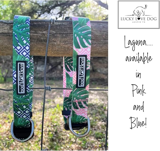 Lucky Love Dog Collar, Beautiful & Vivid Pattern Large Boy Dog Collars, Easy On & Off Clasp Accessory (Blue Laguna, L)