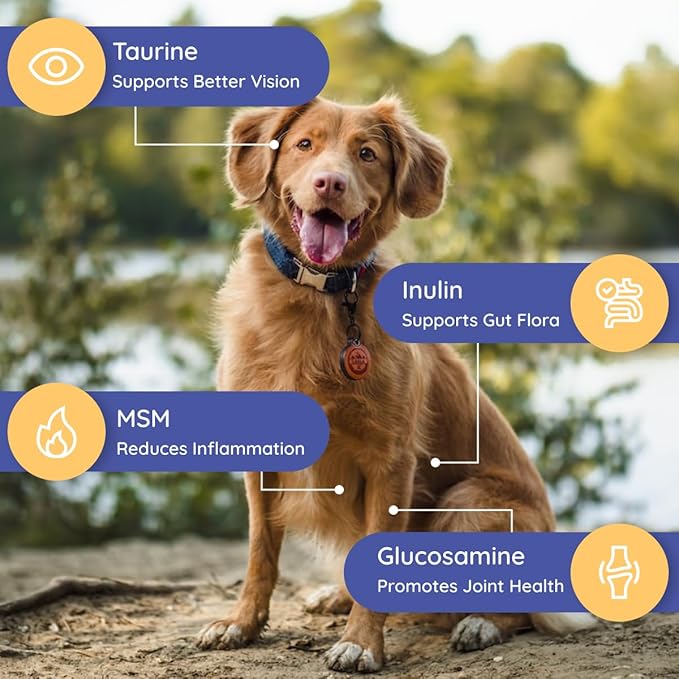 Petralyte Dog Electrolytes and Joint Supplement | Hydration Support for Dogs w/Glucosamine, Chondroitin & More | Electrolytes for Dogs with Prebiotics | for Chicken Lovers | 32 Packets