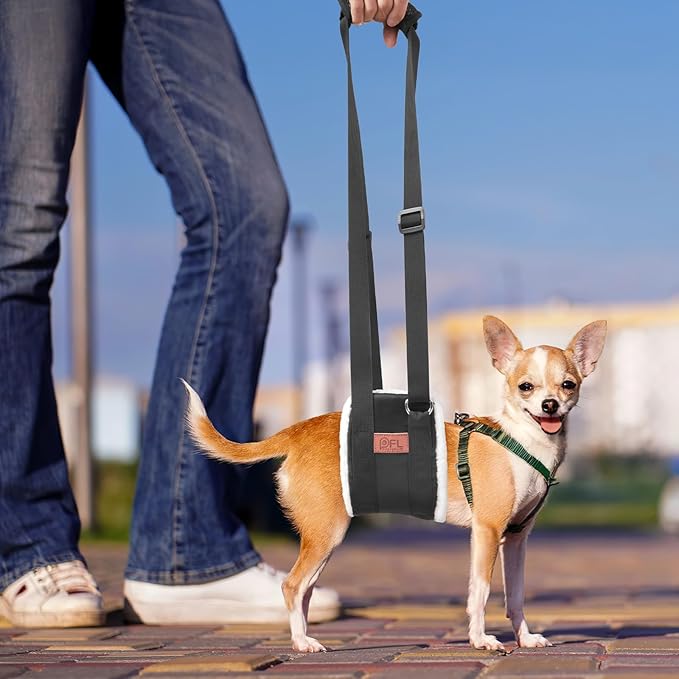 Adjustable Dog Lift Harness, Dog Sling for Large Dogs Lift Support and Rehab Harness for Weak Rear Legs, Soft Hind Leg Support Helps Senior, Injured, Disabled and After ACL Surgery Dogs(Black,Small)