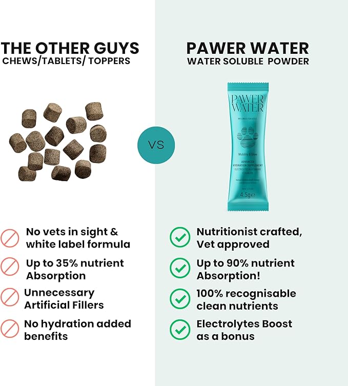 Advanced Joint & Hydration Supplement for Dogs – Vet-Approved - Soluble Powder with Collagen, Electrolytes, 7 Active Nutrients & Vitamins – Chicken Broth Flavor (Up to 4 Weeks Supply)