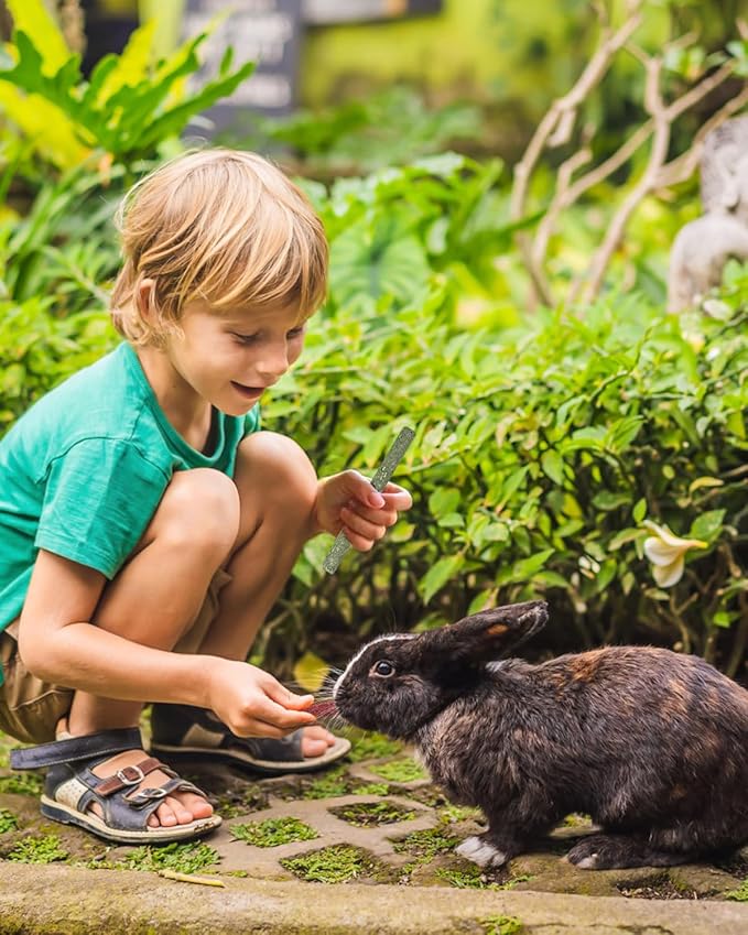 ERKOON 38Pcs Timothy Hay Sticks, Guinea Pig Toys, Rabbit Chew Toys for Teeth Natural Molar Sticks Rabbits Treats for Bunnies, Chinchilla, Guinea Pigs, Gerbil, Hamster