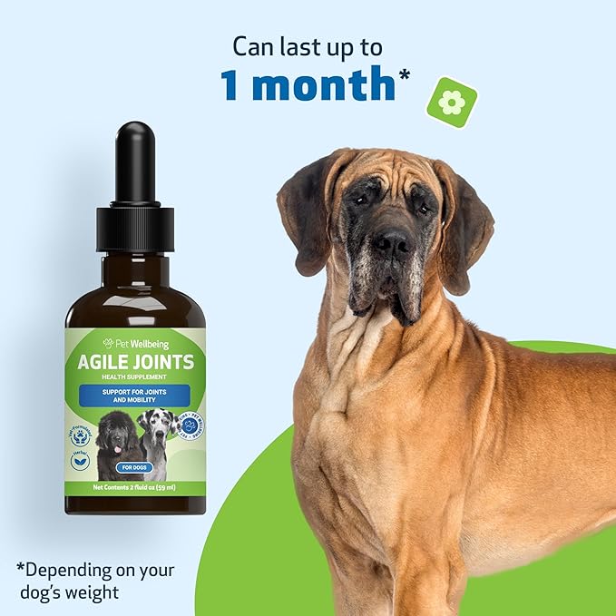 Pet Wellbeing Agile Joints for Dogs - Hip and Joint Health, Mobility, Devil_ Claw, Boswellia, Joint Ligament and Cartilage - Veterinarian-Formulated Herbal Supplement 2 oz (59 ml)