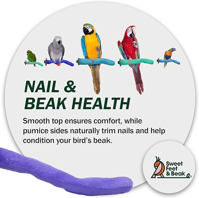 Sweet Feet & Beak Safety Pumice Bird Perch, Large 1-1/2" X 12", Blue - Lightweight Grinding Bird Perches for Cage - Bird Nail Trimming Perch for Healthy Beak & Feet - Multi-Size & Color Parrot Stand