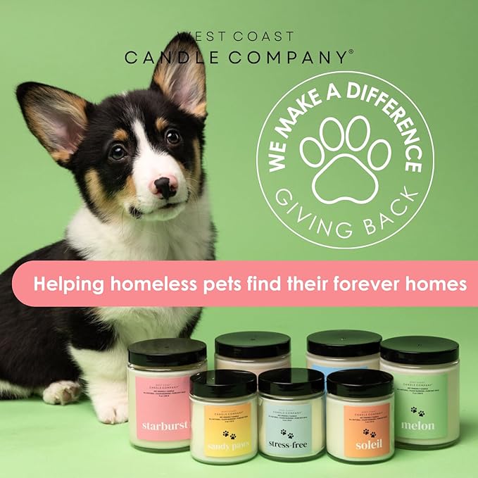 Pet Friendly Wax Melts | Pet Safe Wax Melts | All Natural Dog Safe Wax Melts | Non-Toxic Wax Melts | Pet Odor Eliminator | Pure Soy Wax Melts | Veterinarian Approved (Stress-Free)