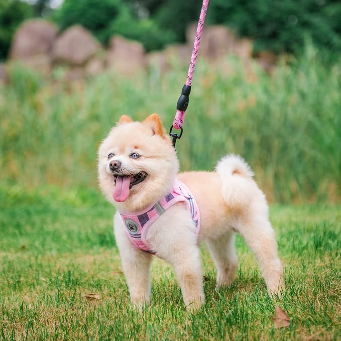BEAUTYZOO Small Dog Harness and Leash Set,Step in No Chock No Pull Soft Mesh Dog Harnesses Reflective for Extra-Small/Small Medium Puppy Dogs and Cats, Plaid Dog Vest Harness for XS S Pets, Pink XS