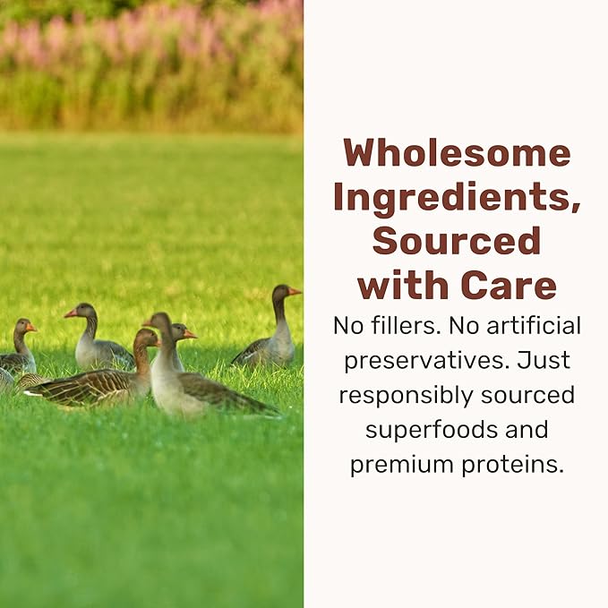 BADLANDS RANCH Superfood Nuggets- Premium, Freeze-Dried raw Dog Food Topper or Treat. Powerful Nutrient-Dense Ingredients. No Artificial additives. Duck and Kale Formula 8oz - 4pk Bundle