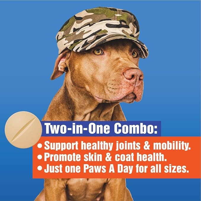 Glucosamine for Dogs Hip & Joint Supplement _wo-in-One Combo Dog Joint Care and Improved Skin & Coat with Chondroitin, MSM, Omega 3, Collagen & Biotin, 60 Chewable Tablets